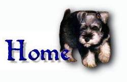 Welcome to PuppyDogPage.com